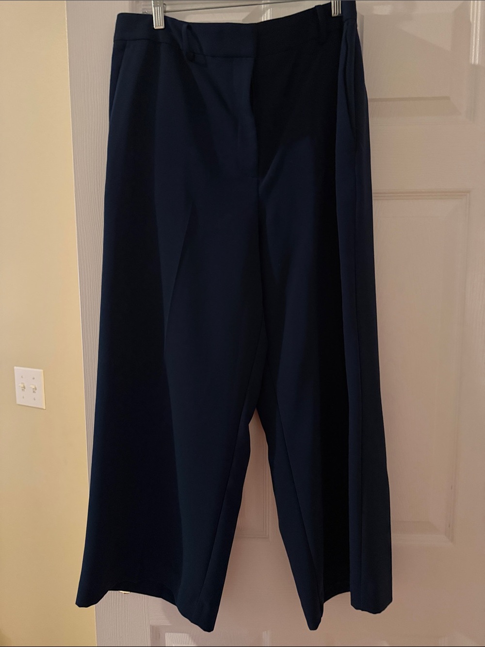 Ann Taylor Navy Wide-Leg Dress Pants